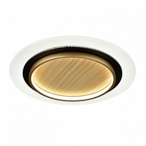Накладной светильник Sonex Sunny 7731/80L в Карталах - kartaly.ok-mebel.com | фото 4