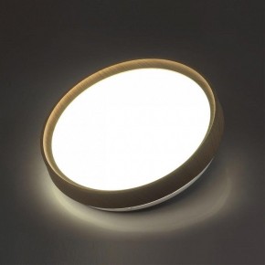 Накладной светильник Sonex Woodi 7603/CL в Карталах - kartaly.ok-mebel.com | фото 3
