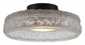 Накладной светильник ST-Luce ANTIKE SL6143.402.01 в Карталах - kartaly.ok-mebel.com | фото 2