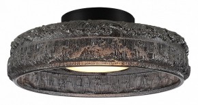 Накладной светильник ST-Luce ANTIKE SL6143.412.01 в Карталах - kartaly.ok-mebel.com | фото 2