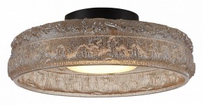 Накладной светильник ST-Luce ANTIKE SL6143.422.01 в Карталах - kartaly.ok-mebel.com | фото 3