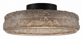 Накладной светильник ST-Luce ANTIKE SL6143.422.01 в Карталах - kartaly.ok-mebel.com | фото 4