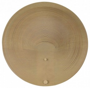 Накладной светильник ST-Luce Fossil SL6900.501.16 в Карталах - kartaly.ok-mebel.com | фото