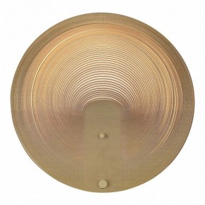 Накладной светильник ST-Luce Fossil SL6900.501.16 в Карталах - kartaly.ok-mebel.com | фото 2