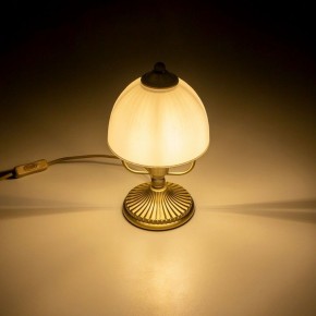 Настольная лампа декоративная Citilux Адриана CL405813 в Карталах - kartaly.ok-mebel.com | фото 12