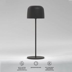 Настольная лампа декоративная Elektrostandard Bitty a069002 в Карталах - kartaly.ok-mebel.com | фото 2