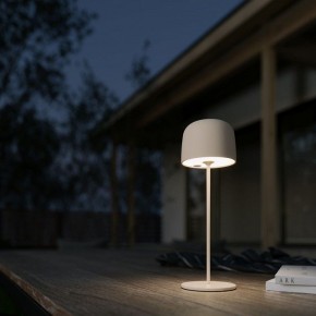 Настольная лампа декоративная Elektrostandard Bitty a069003 в Карталах - kartaly.ok-mebel.com | фото 4