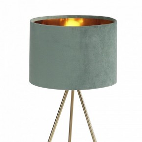 Настольная лампа декоративная ST-Luce FUEGO SL6242.704.01 в Карталах - kartaly.ok-mebel.com | фото 5