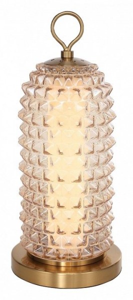 Настольная лампа декоративная ST-Luce SAGUARO SL6144.304.01 в Карталах - kartaly.ok-mebel.com | фото 2