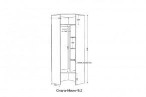 ОЛЬГА-МИЛК 9.2 Шкаф угловой с зеркалом в Карталах - kartaly.ok-mebel.com | фото 2