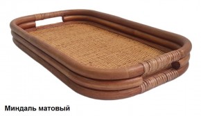 Поднос прямоугольный 21/04 в Карталах - kartaly.ok-mebel.com | фото 4