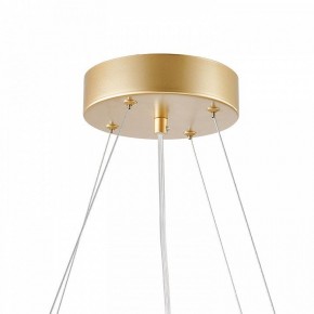 Подвесная люстра Favourite Asterismo 4448-6P в Карталах - kartaly.ok-mebel.com | фото 9