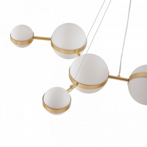 Подвесная люстра Favourite Asterismo 4448-8P в Карталах - kartaly.ok-mebel.com | фото 7