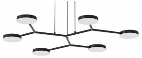 Подвесная люстра Favourite Vorago 4632-6P в Карталах - kartaly.ok-mebel.com | фото