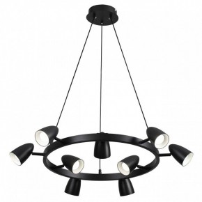 Подвесная люстра Lumion Ilmina 8237/9 в Карталах - kartaly.ok-mebel.com | фото 2