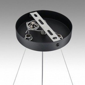 Подвесная люстра Lumion Luazana 8242/6 в Карталах - kartaly.ok-mebel.com | фото 7