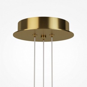 Подвесная люстра Maytoni Arana MOD401PL-L108BS3K в Карталах - kartaly.ok-mebel.com | фото 7