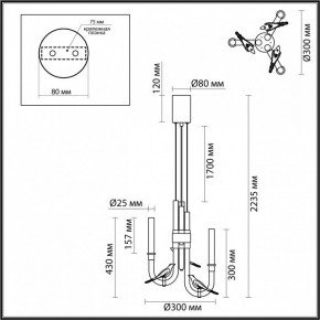 Подвесная люстра Odeon Light Lark 5431/6L в Карталах - kartaly.ok-mebel.com | фото 5