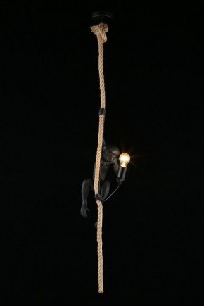 Подвесной светильник Aployt Magali APL.309.16.01 в Карталах - kartaly.ok-mebel.com | фото 3