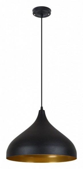 Подвесной светильник Arte Lamp Carmel A7076SP-1BK в Карталах - kartaly.ok-mebel.com | фото 2