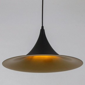Подвесной светильник Arte Lamp Carmel A7080SP-1BK в Карталах - kartaly.ok-mebel.com | фото