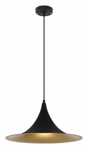 Подвесной светильник Arte Lamp Carmel A7080SP-1BK в Карталах - kartaly.ok-mebel.com | фото 2