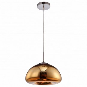 Подвесной светильник Arte Lamp Swift A8041SP-1GO в Карталах - kartaly.ok-mebel.com | фото 2