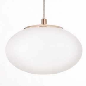 Подвесной светильник Citilux Atman Smart CL226A053 в Карталах - kartaly.ok-mebel.com | фото 10