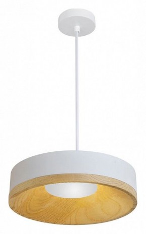 Подвесной светильник Divinare Vaso 5119/33 SP-8 в Карталах - kartaly.ok-mebel.com | фото 2