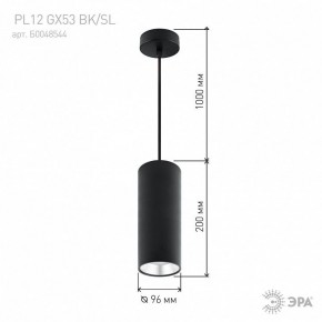 Подвесной светильник Эра  PL12 GX53 BK/SL в Карталах - kartaly.ok-mebel.com | фото 8