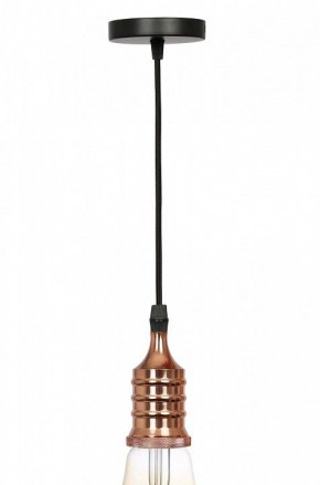 Подвесной светильник Эра PL13 Б0048525 в Карталах - kartaly.ok-mebel.com | фото 3