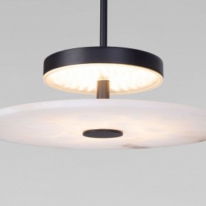 Подвесной светильник Eurosvet Thasos 40342 LED черный в Карталах - kartaly.ok-mebel.com | фото 7
