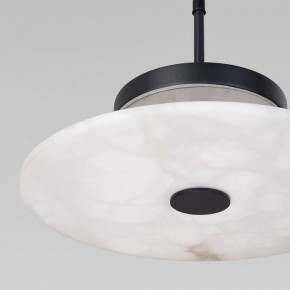Подвесной светильник Eurosvet Thasos 40342 LED черный в Карталах - kartaly.ok-mebel.com | фото 8