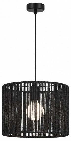 Подвесной светильник EVOLUCE ETTAN SLE6024-403-01 в Карталах - kartaly.ok-mebel.com | фото 2