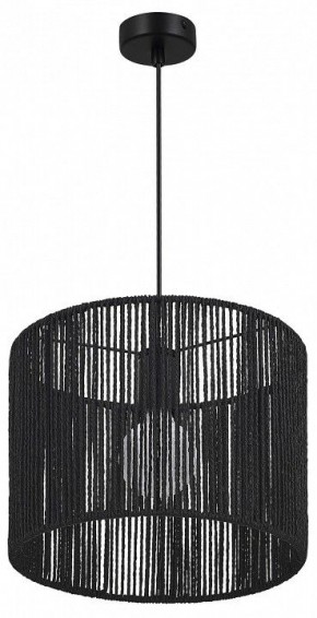 Подвесной светильник EVOLUCE ETTAN SLE6024-403-01 в Карталах - kartaly.ok-mebel.com | фото 3