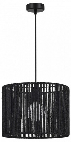 Подвесной светильник EVOLUCE ETTAN SLE6024-403-01 в Карталах - kartaly.ok-mebel.com | фото 4
