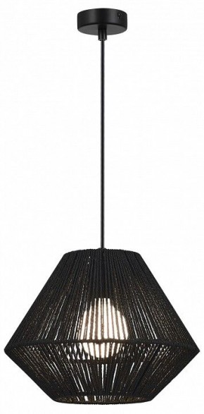 Подвесной светильник EVOLUCE ETTAN SLE6025-403-01 в Карталах - kartaly.ok-mebel.com | фото 2