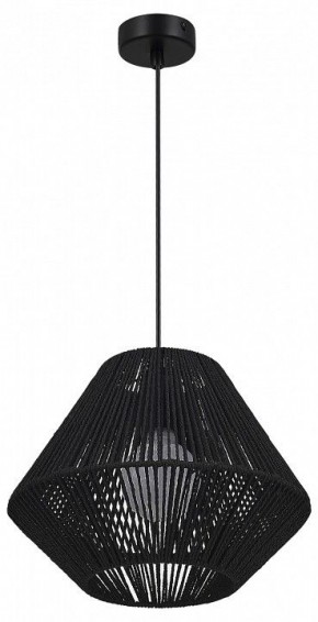 Подвесной светильник EVOLUCE ETTAN SLE6025-403-01 в Карталах - kartaly.ok-mebel.com | фото 4