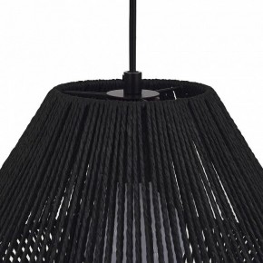 Подвесной светильник EVOLUCE ETTAN SLE6025-403-01 в Карталах - kartaly.ok-mebel.com | фото 7