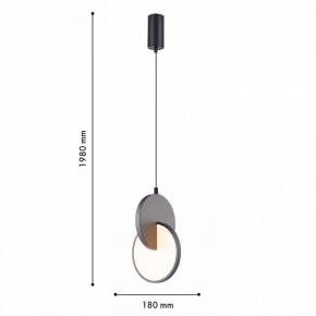Подвесной светильник F-promo Grahan 4609-1P в Карталах - kartaly.ok-mebel.com | фото 4