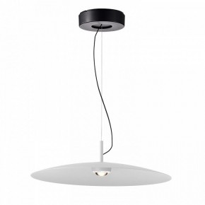 Подвесной светильник Favourite Lars 4410-2P в Карталах - kartaly.ok-mebel.com | фото 2