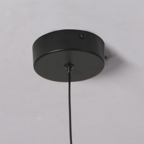 Подвесной светильник Favourite Wilet 4656-1P в Карталах - kartaly.ok-mebel.com | фото 10