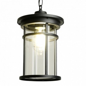 Подвесной светильник Feron PL765 51819 в Карталах - kartaly.ok-mebel.com | фото 3