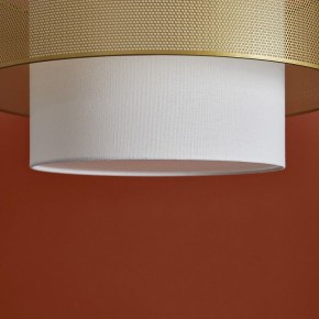 Подвесной светильник Freya Lattice FR5528PL-01BS в Карталах - kartaly.ok-mebel.com | фото 9