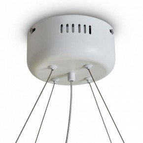 Подвесной светильник Freya Rain FR5546PL-L60W в Карталах - kartaly.ok-mebel.com | фото 9