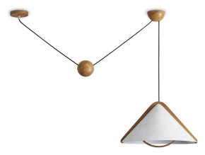 Подвесной светильник Freya Umbra FR5554CL-01T в Карталах - kartaly.ok-mebel.com | фото