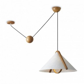 Подвесной светильник Freya Umbra FR5554CL-01T в Карталах - kartaly.ok-mebel.com | фото 2