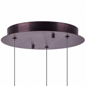 Подвесной светильник Lightstar Caramello 796139 в Карталах - kartaly.ok-mebel.com | фото 13