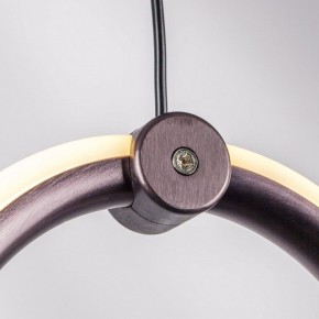 Подвесной светильник Lightstar Caramello 796329 в Карталах - kartaly.ok-mebel.com | фото 10