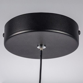 Подвесной светильник Lightstar Saturno 749017 в Карталах - kartaly.ok-mebel.com | фото 12